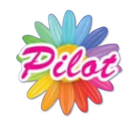 pilotenterprises.in